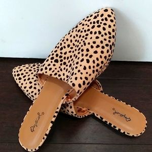 Qupid leopard pointed mule slides